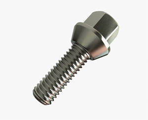 Bolt