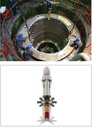 Reactor Vessel